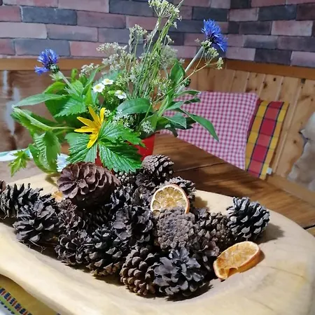Apartma Vintgar Pensión