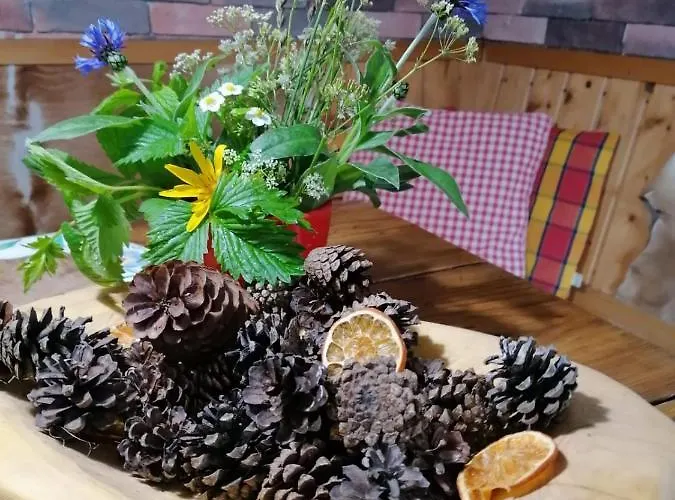 Apartma Vintgar Hiša za goste