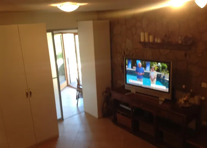 Hiša za goste Apartma Vintgar