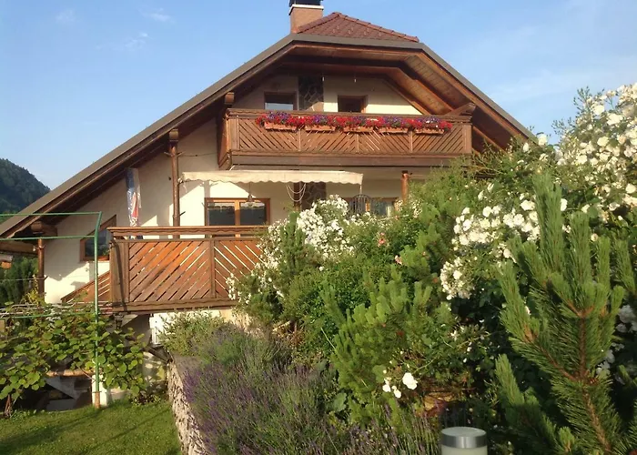 Hiša za goste Apartma Vintgar